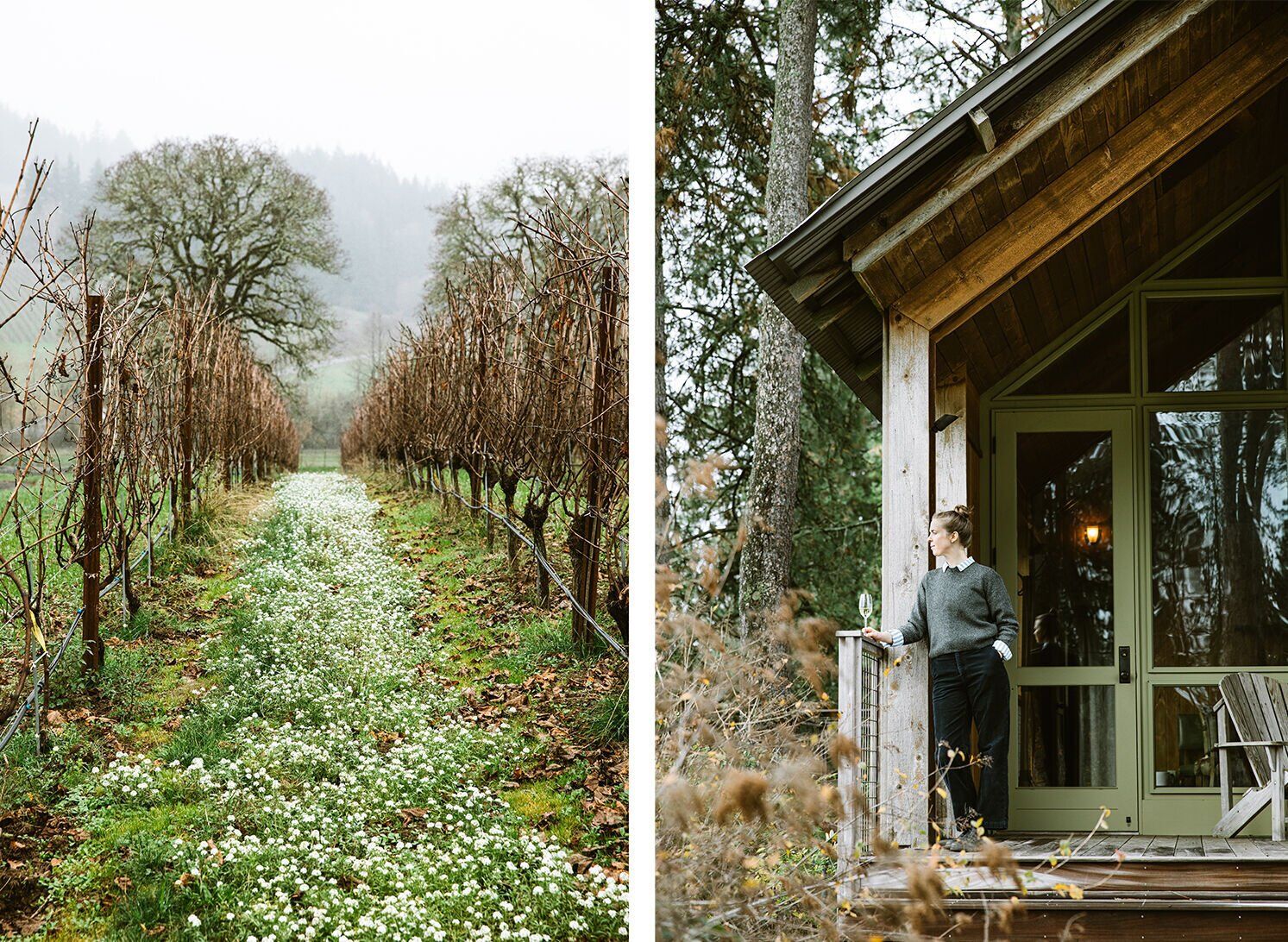 Soter vineyard 2